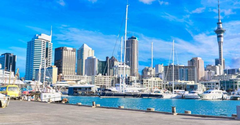 Top Construction Company New Zealand for Quality, Innovation, and Reliable Building Solutions